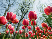 april word of the day